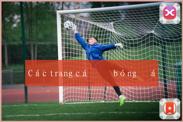 Các trang cá độ bóng đá